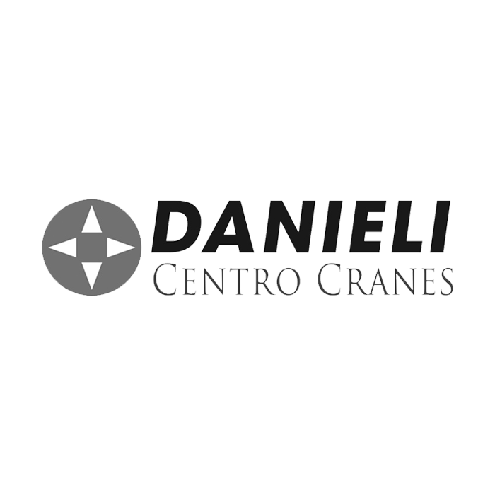 Danieli Centro Cranes